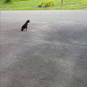 Meet your Posher, Julia